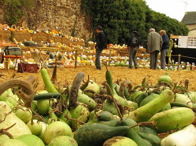 0823377.jpg - C'est plus calme avant l'affluence.