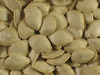 Cucurbita pepo Melonette jaspe de Vende; graines