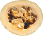 Cucurbita pepo Citrouille de Touraine; coupes