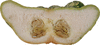Cucurbita pepo Ptisson verruqueux panach; coupes