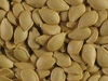 Cucurbita pepo Coloquinte cuillre; graines