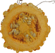 Cucurbita pepo Gourd verruqueuse (orange warted); coupes