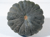 Cucurbita moschata Beung karn; ombilics