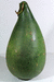 Lagenaria siceraria African kettle gourd; fruits