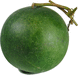 Lagenaria siceraria Canon ball; fruits