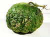 Lagenaria siceraria Little man; fruits
