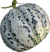 Melon de Bellegarde